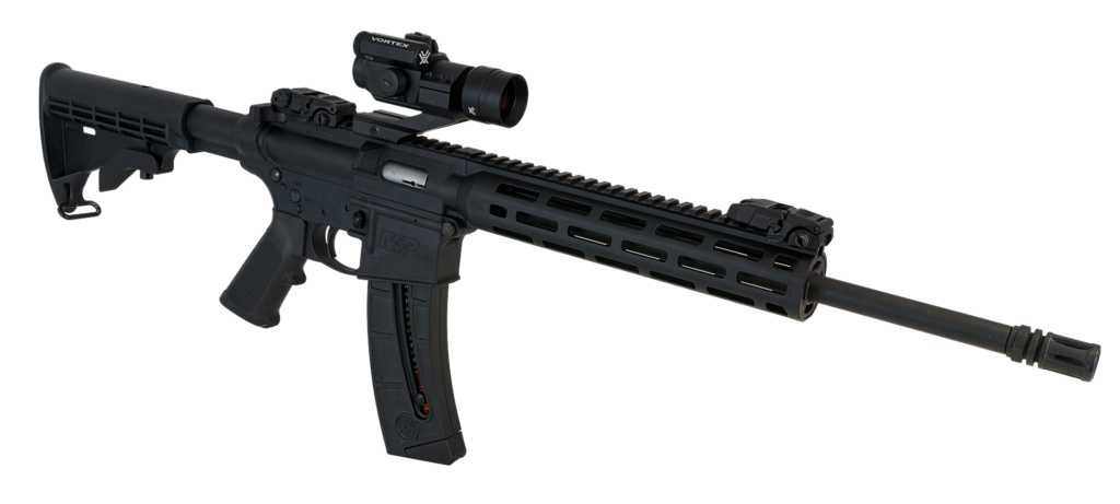 AR-15 Smith & Wesson .22LR